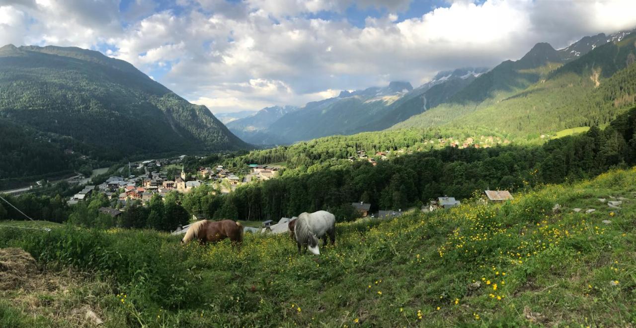 Amazing View Appartement Du Chalet Les Houches Luaran gambar